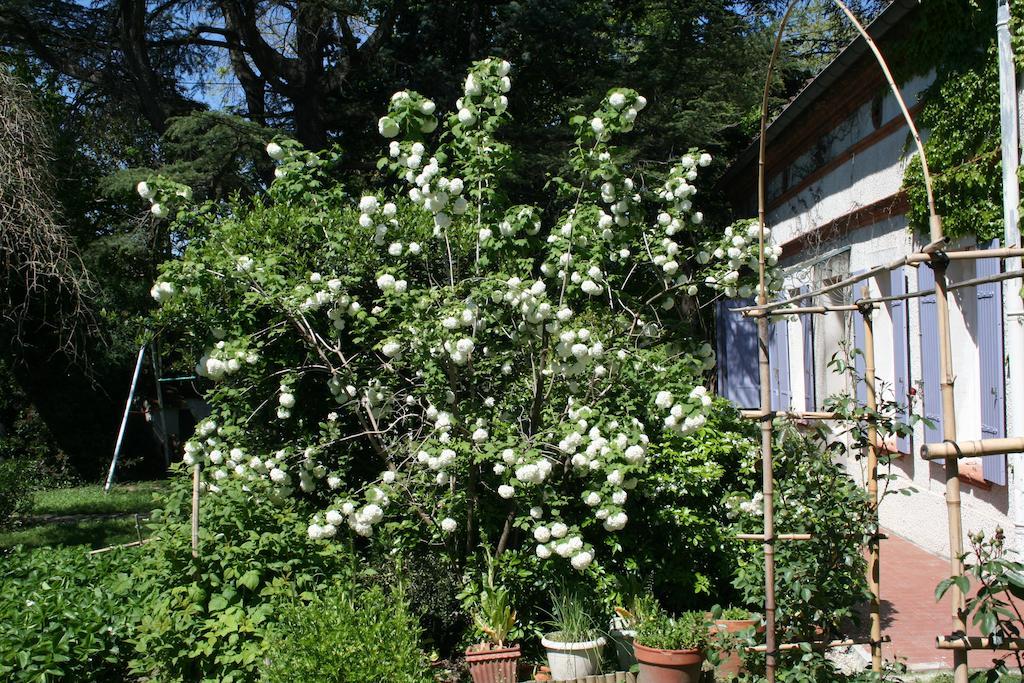 Holiday home Les Esquirols Toulouse